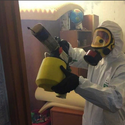 Уничтожение клопов в квартире. Окская